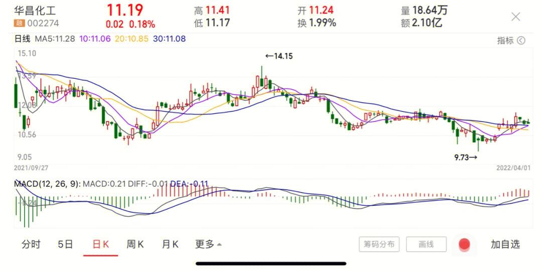 希腊男篮崛起为黑马，引发外界关注