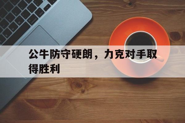 关于公牛防守硬朗，力克对手取得胜利的信息