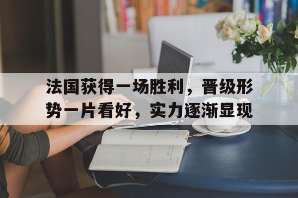 法国获得一场胜利，晋级形势一片看好，实力逐渐显现的简单介绍