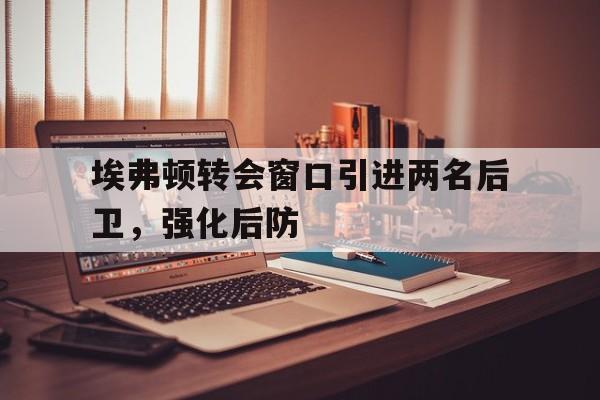 埃弗顿转会窗口引进两名后卫，强化后防的简单介绍