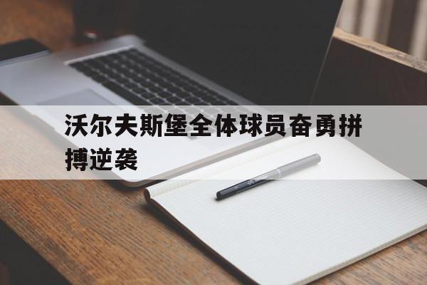 包含沃尔夫斯堡全体球员奋勇拼搏逆袭的词条